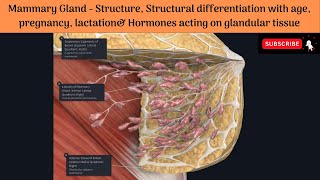 Structure of Mammary Gland Structural differentiation  Hormones acting on glandular tissue [upl. by Esnofla]