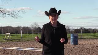 Texas 4H Horse Project  Introduction to InHand Trail [upl. by Nirroc]