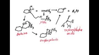 Wittig reaction mechanism [upl. by Hildy]