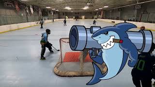 Bazooka Sharks VS Puck Hounds 10222024 [upl. by Korten136]