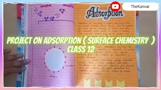 Chemistry Project on Adsorption  Surface Chemistry  Class 12 [upl. by Levan]