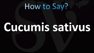 How to Pronounce Cucumis sativus correctly [upl. by Acilef]