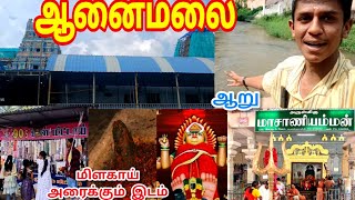 Masaniamman Kovil பொள்ளாச்சி மாசாணி அம்மன் temple tour மிளகாய் அரைக்கும் இடம் pollachiNs vlogs [upl. by Beutner]