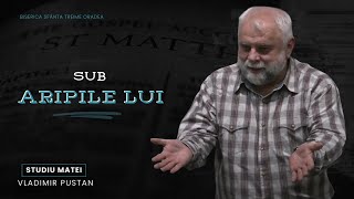 Vladimir Pustan  MATEI  98 Sub Aripile Lui  Ciresarii TV  17112024 [upl. by Rorry338]