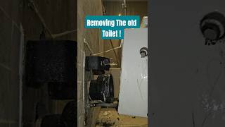 How to remove the old toilet plumbing toilet bathroom shorts diydiybathroom [upl. by Lu]