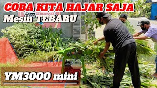 Review Mesin Cacah Rumput Mini Terbaru Penggerak Honda Kita Hajar Saja [upl. by Ullman]