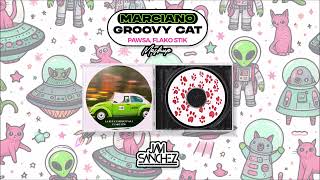 Marciano TikTok x Groovy Cat Javi Sánchez Mashup PAWSA Flako Stik [upl. by Kirkpatrick]