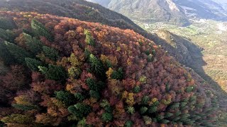 Porcini  Wingsuit Flight  Italy [upl. by Allehcram597]