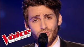 Christophe – Les Mots bleus  Lukas K Abdul  The Voice France 2016  Blind Audition [upl. by Abeh]