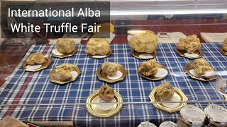 3 min Alba  International Alba White Truffle Fair  40 Years of Flavor [upl. by Attenwad]