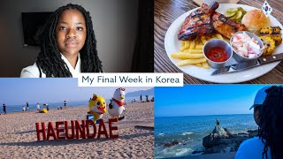 VLOG My Final Week in Korea [upl. by Prouty]