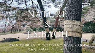 【JSBach】Brandenburg Concerto No3 in G major BWV 1048  Ⅰ Allegro ブランデンブルク協奏曲 第3番 第1楽章 [upl. by Gnurt]