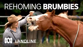 Rehoming brumbies transforms lives for horses owners  Landline  ABC Australia [upl. by Born]