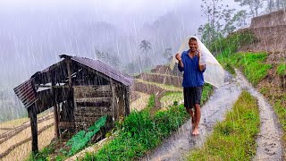 RAINY DAY IN MOUNTAIN VILLAGE LIFE  RELAXING CALM RAIN SOUNDS FOR SLEEPING [upl. by Losse193]