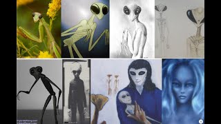 The Truth About Aliens Abductions Demons and lights in the sky [upl. by Negah]