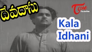 Devadas Movie Songs  Kala Idani Nijamidani Video Song  ANR  Savitri [upl. by Annalise]