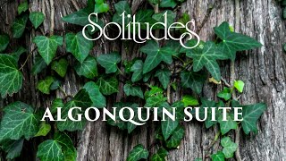 1 hour of Relaxing Music Dan Gibson’s Solitudes  Algonquin Suite Full Album [upl. by Annatnom560]