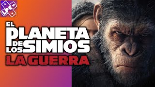 Changos de Acción  Planeta de los Simios La Guerra  LongPlayCast241 [upl. by Marvin]