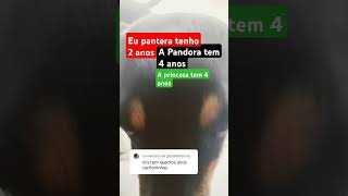 Respondendo pergunta vão fazer mais perguntas perguntas naoflopa pets [upl. by Elyrad540]