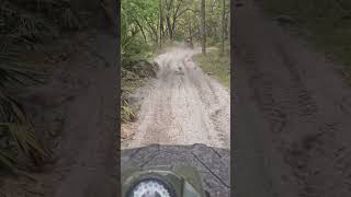 Full Video  Extra Dry Trail Riding at Hog Waller Mud Bog amp ATV Park in Palatka Florida [upl. by Stag]