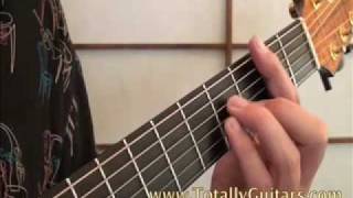 Teach Your Children by Crosby Stills Nash amp Young  Guitar Lesson Preview from Totally Guitars [upl. by Gurtner]