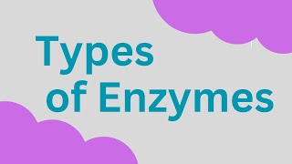 Types of Enzymes Isozyme Lysozyme Zymogens autocatalysis [upl. by Barbuto541]