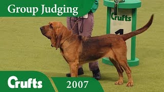 Bloodhound wins Hound Group Judging at Crufts 2007 [upl. by Hannah]