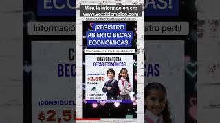 Convocatoria becas económicas conoce los requisitos y coml hacer tu solicitud [upl. by Aivil]