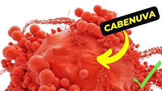 Cabenuva The Future of HIV Treatment is Here [upl. by Aryl]