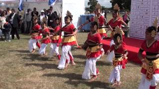 quotMangalamquot  Pooja Dance at Festival of Cricket 2015 [upl. by Minoru974]