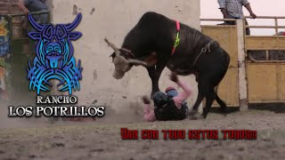 Este ganadero no trae toros trae puras bestias Los Potrillos en Cuautla [upl. by Rozalie316]