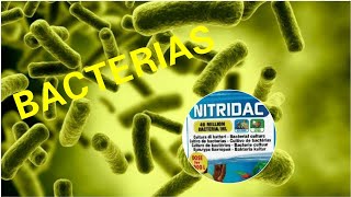 AÑADIR BACTERIAS AL ACUARIO ¿ACELERA EL CICLADO¿SIRVE DE VERDAD [upl. by Iv]