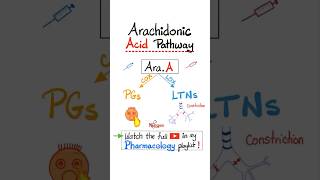 Arachidonic Acid Pharmacology Prostaglandins and Leukotrienes…biology nclex mbbs pharmacology [upl. by Craig]