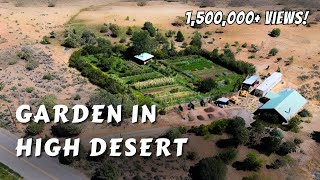 Permaculture Garden In The High Desert [upl. by Bourque146]