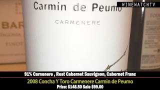 Offering Concha Y Toro Carmenere Carmin de Puemo [upl. by Davies]