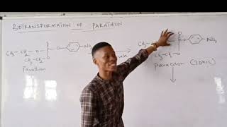 Biotransformation of Parathion [upl. by Kotz706]