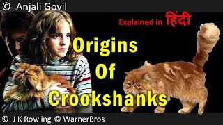 Life of Crookshanks  Explained in hindi [upl. by Resay]