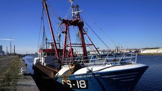 Windstärke 10 im Fischereistreit zwischen Frankreich und Großbritannien [upl. by Neelehtak]