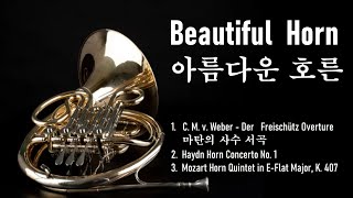 호른이 멋진 클래식🧡Classic with Horn👌Der Freischütz Overture 마탄의 사수 Haydn Horn 1 Mozart Horn Quintet K407 [upl. by Rame996]