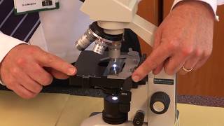 GCSE Biology 91 Triple Required Practical 1  Microscopes [upl. by Fitzpatrick213]