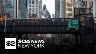 Giant pigeon sculpture coming to NYCs High Line [upl. by Nylecyoj]