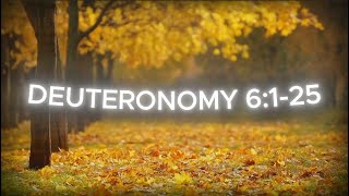 DEUTERONOMY 6125 [upl. by Ynitsed]