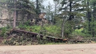 Storm debris cleanup continues in Monarch and Neihart areas [upl. by Adnolor897]