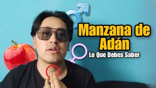 Para Que Funciona La Manzana de Adan y Que es [upl. by Tlaw]