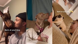 bark at your dog  tiktok compilation [upl. by Anelhtak]