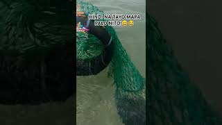 Ep35 FOR TONIGHTS DINNER  PRITO SIZE fishing goprohero9 ultralightfishing philippines [upl. by Combs]