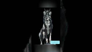 art drawing speedpaint artwork digitalart wolf wolfart oc ocart dtiys dtiysprize [upl. by Leumek]