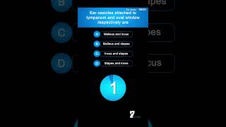 Ear ossicles attached to tympanum and oval window respectively are [upl. by Riehl246]