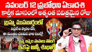 నవంబర్ 12 ప్రబోధిని ఏకాదశి కార్తీక మాసంలో అత్యంత పవిత్రమైన రోజు  Karthika Masam Pooja Vidanam 2024 [upl. by Aiket]