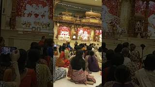 🇺🇲 Sri krishna janmashtami celebration at ISkCON Temple shorts viralreels hareramaharekrishna [upl. by Kent793]